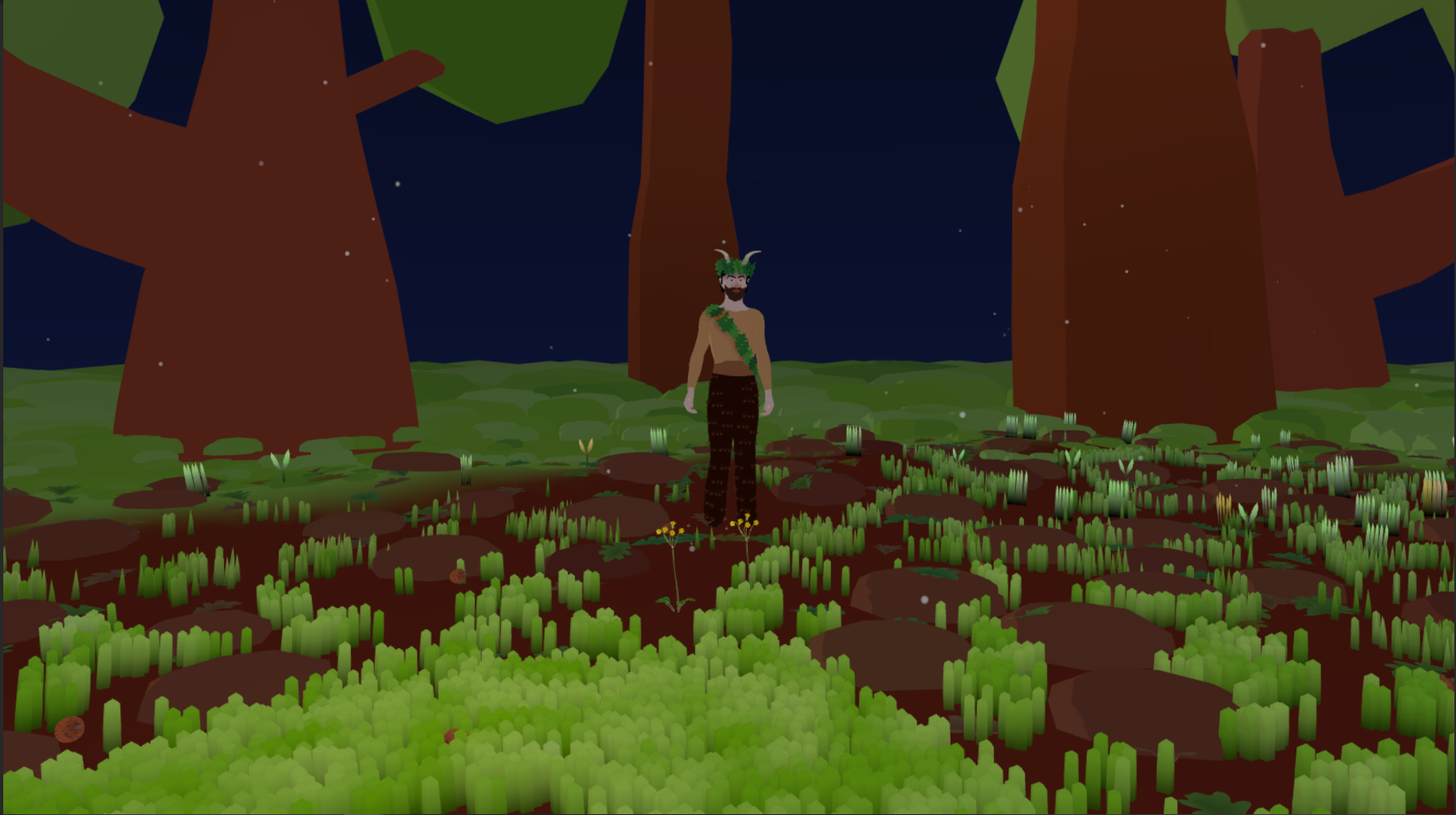Forest environment
