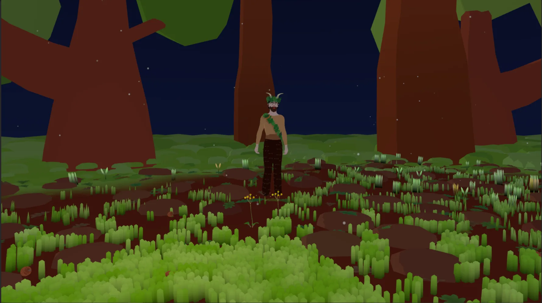 Forest environment